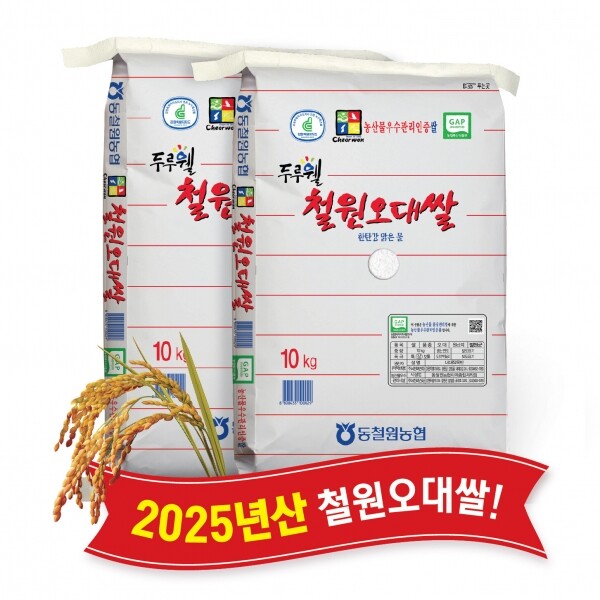 (당일도정) 2025년산 햅쌀 동철원농협 철원오대쌀 10kg x 2포