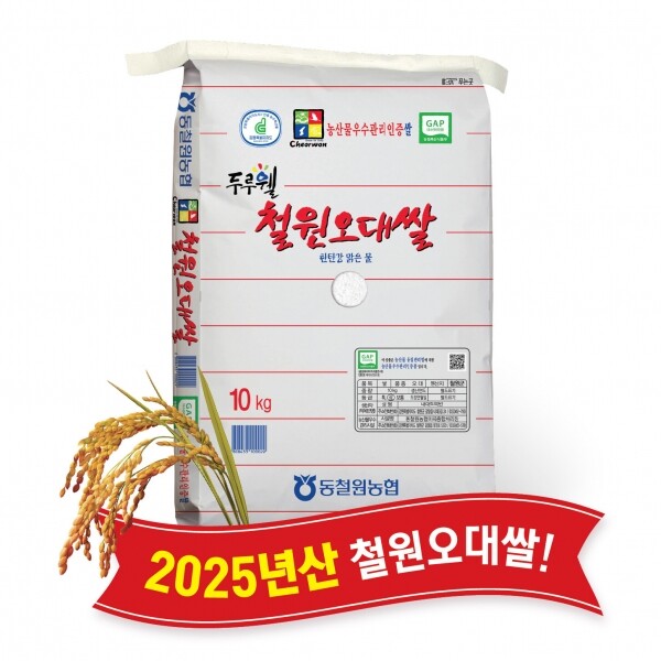 (당일도정) 2025년산 햅쌀 동철원농협 철원오대쌀 10kg